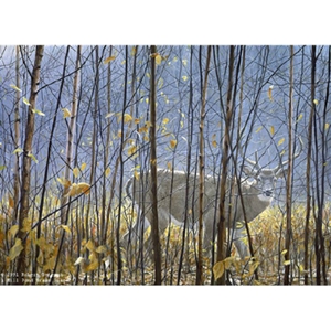 White-tailed Deer Through the Birches by Robert Bateman