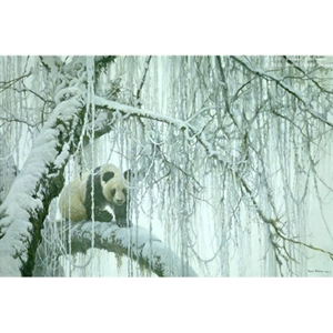Winter Filigree - Giant Panda by Robert Bateman
