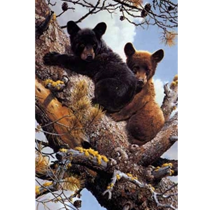 High Adventure - Black Bear Cubs by wildlife artist Carl Brenders
