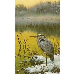 Late Snow - Great Blue Heron by Carl Brenders