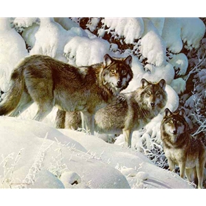 The Long Distance Hunters - Wolves by wildlife artist Carl Brenders