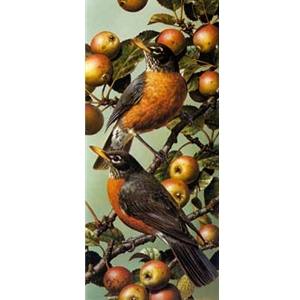 Robins by wildlife artist Carl Brenders