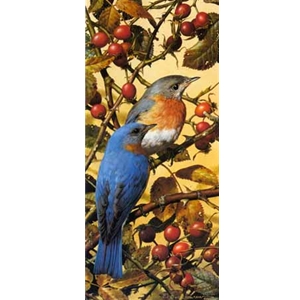 Bluebirds by wildlife artist Carl Brenders