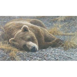 Grizzly at Rest by Robert Bateman