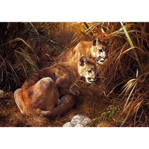 Shadows in the Grass - Young Cougars by wildlife artist Carl Brenders