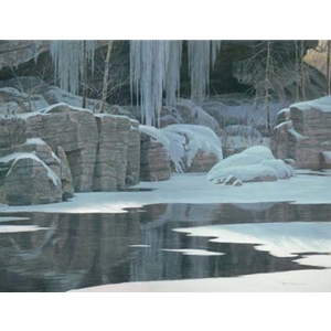 Winter Reflection by Robert Bateman