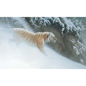 Momentum - Siberian Tiger by Robert Bateman