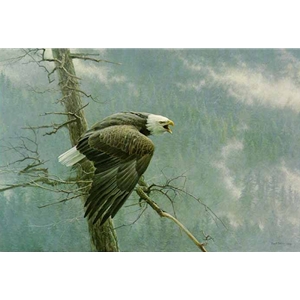 The Air, the Forest and the Watch by Robert Bateman