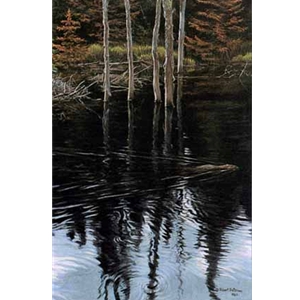 Beaver Pond Reflections by Robert Bateman