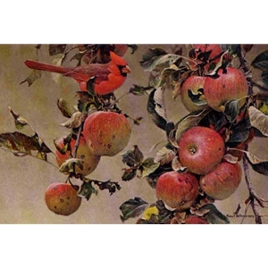 Cardinal and Wild Apples by Robert Bateman