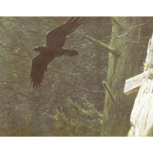 Clan of the Raven by Robert Bateman