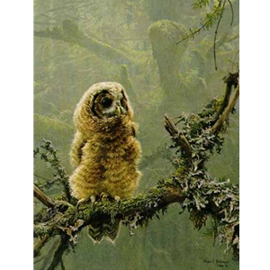 Continuing Generations - Spotted Owls by Robert Bateman