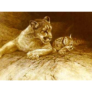 Cougar and Kit by Robert Bateman