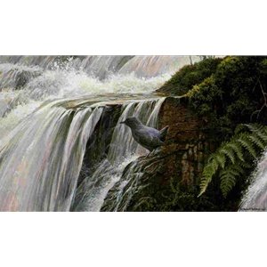 Dipper by the Waterfall by Robert Bateman