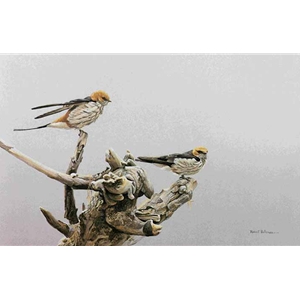 Driftwood Perch - Striped Swallows by Robert Bateman