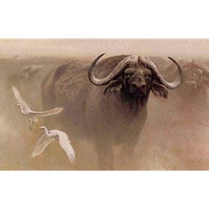 Master of the Herd - African Buffalo by Robert Bateman