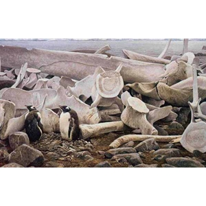 Gentoo Penguins and Whale Bones by Robert Bateman