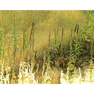 Goldfinch With Mullein by Robert Bateman
