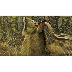 Greater Kudu Bull by Robert Bateman
