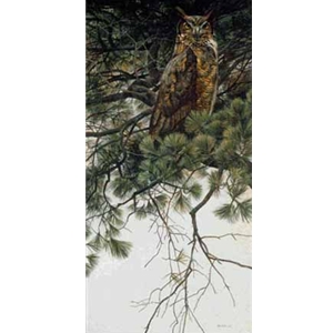 Great Horned Owl in White Pine by Robert Bateman