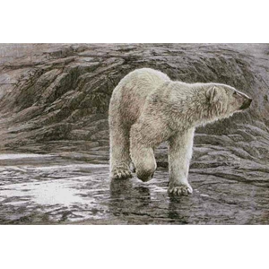 Polar Bear by Robert Bateman