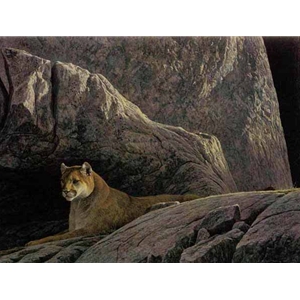 Rocky Wilderness - Cougar by Robert Bateman