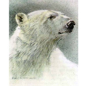 Polar Bear Edition Predator Portfolio by Robert Bateman