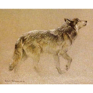 Catching the Scent Wolf by Robert Bateman