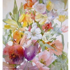 Tulip Tracery by Carolyn Blish