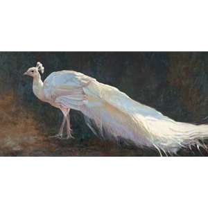 White Light - Peacock by artist Matthew Hillier