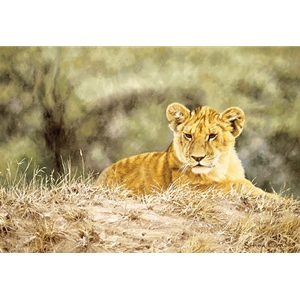 Lion Cub by African wildlife artist Simon Combes