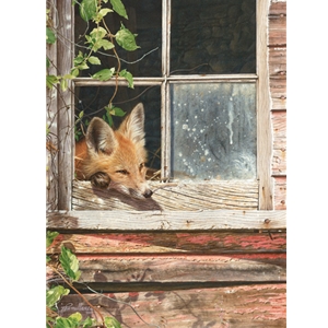 Room With a View - Red Fox by wildlife artist John Mullane
