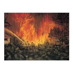 Through the Flames - Forest Fire by artist Paco Young