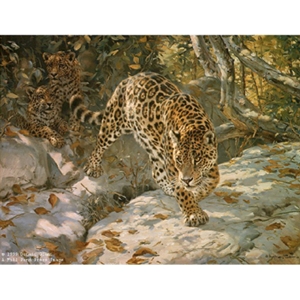Let Us Survive - Jaguar and Cubs by artist Donald Grant