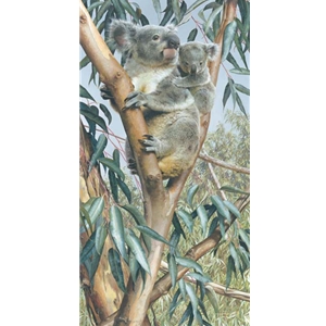 Up a Gum With Mum - Koala by wildlife artist Carl Brenders