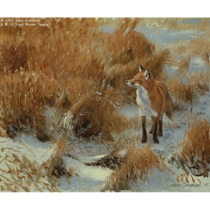 Curiosity - Red Fox by Swedish wildlife artist Lars Jonsson