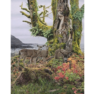 Autumn Front - Black-tailed Deer by wildlife artist Rod Frederick