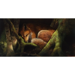 Hide and Seek with the Sun - Fox by wildlife artist Bonnie Marris