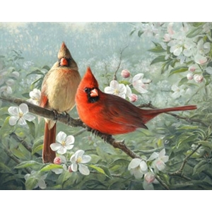 Orchard Cardinals apple blossoms by wildlife artist Joe Hautman