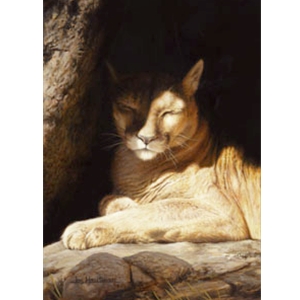 Nap Time cougar by wildlife artist Joe Hautman