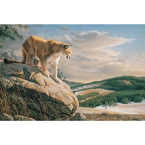 Vantage Point - Cougar by wildlife artist Jim Hautman