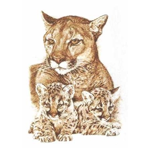 Cougar Family by wildlife portrait artist Chris Calle