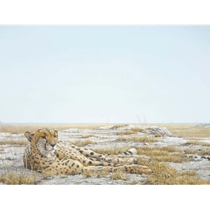 Cheetah Siesta by Robert Bateman