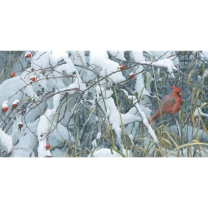 Fresh Snow - Cardinal by Robert Bateman