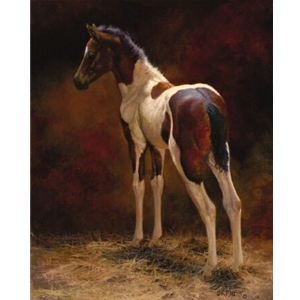 Pawnee - Paint colt by equine artist Bonnie Marris