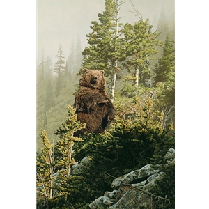 In Tall Timber - grizzly feeding by wildlife artist Rod Frederick