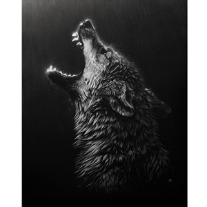 Desperation - wolf howling by wildlife artist Cristina Penescu