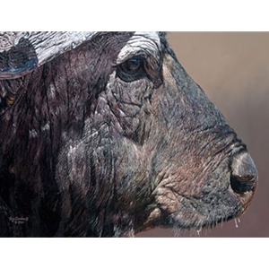 Titan I - cape buffalo face off by African wildlife artist Guy Combes
