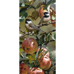 Chickadee and Apple Tree by wildlife artist Carl Brenders