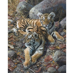 Endangered Ambassadors - Tiger Cubs by wildlife artist Carl Brenders